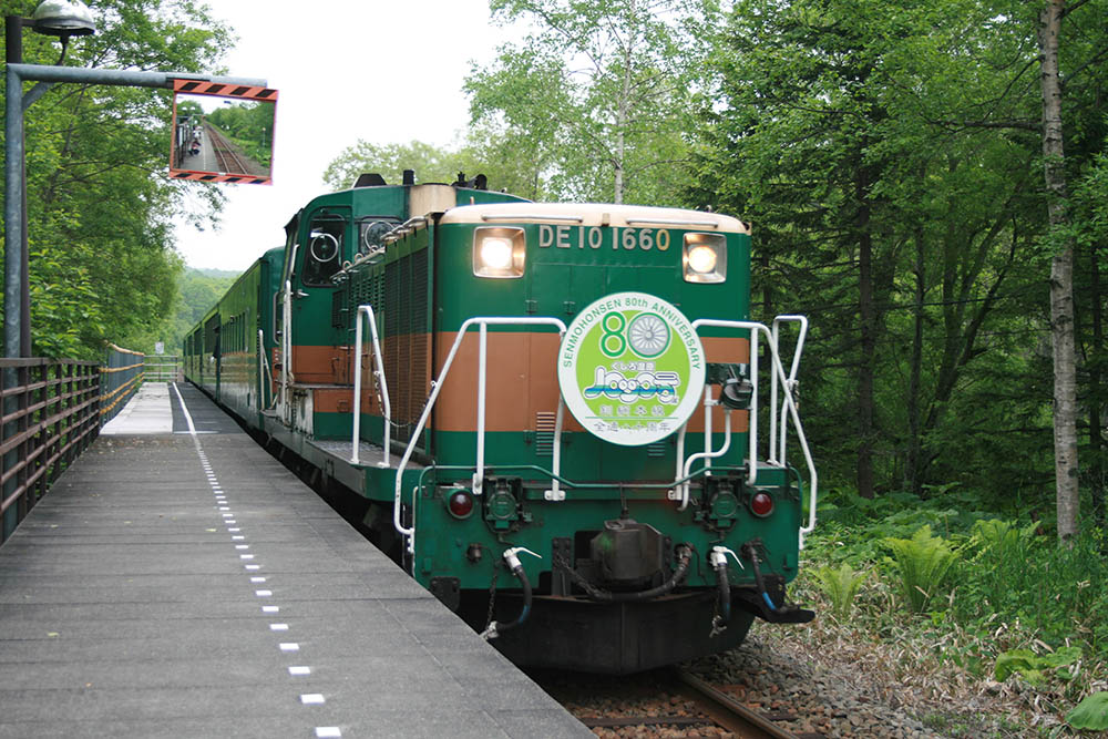 くしろ湿原ノロッコ号