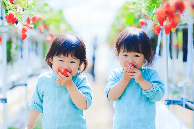 苺を食べる幼女２人