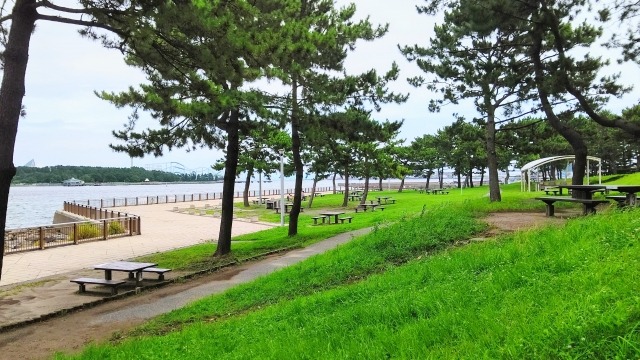 横浜海の公園バーベキュー場　画像