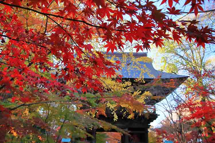 浄真寺