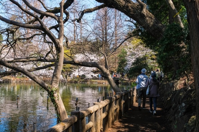 井の頭恩賜公園