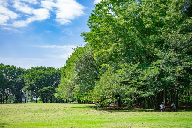 小金井公園