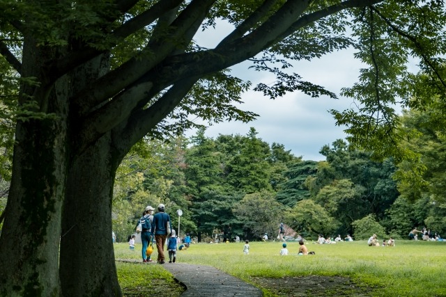 砧公園