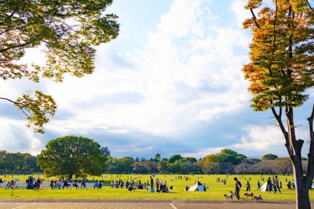 国営昭和記念公園