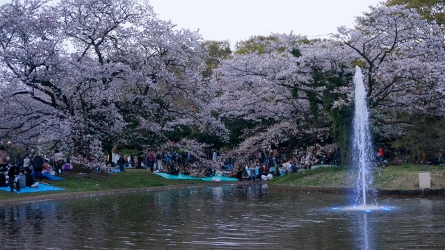 代々木公園