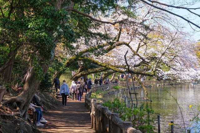 井の頭恩賜公園