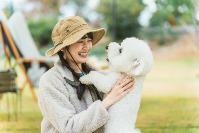 キャンプ場で飼い主と戯れる白い犬　プードル