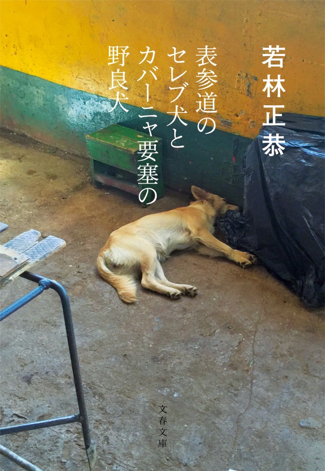 表参道のセレブ犬とカバーニャ要塞の野良犬　表紙画像