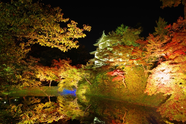 弘前公園の紅葉　ライトアップ