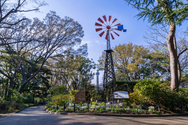 港の見える丘公園のフランス山地区