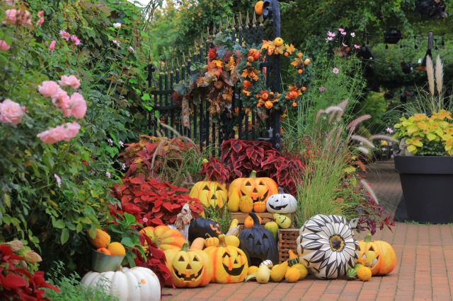 横浜イングリッシュガーデンのハロウィーンイベント