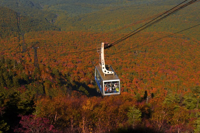 八甲田連峰の紅葉