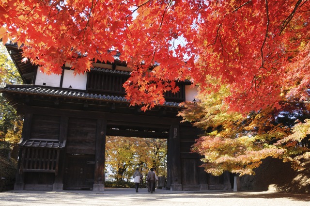 弘前公園の紅葉