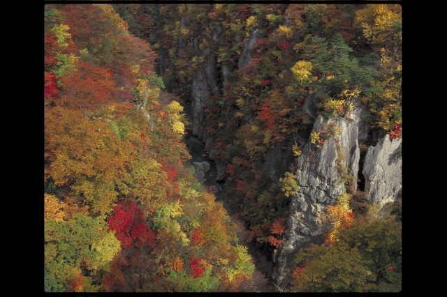 鳴子峡の紅葉