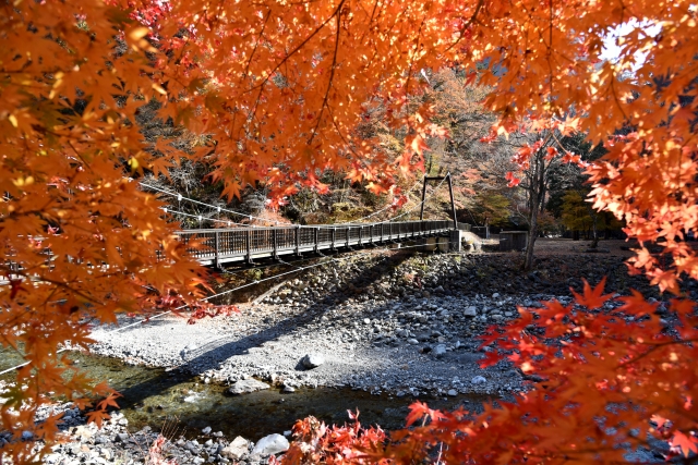 滝沢ダムの紅葉