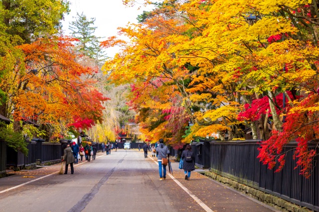 角館 武家屋敷通りの紅葉