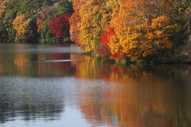 亀山ダム　亀山湖に映る紅葉