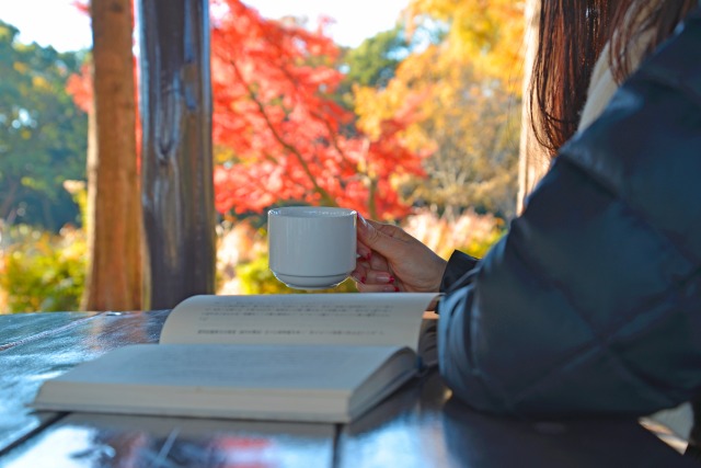 紅葉広がる公園でコーヒーを飲みながら読書をする女性