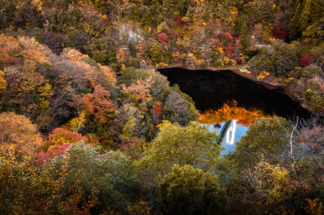 竜神大吊橋から見下ろす紅葉