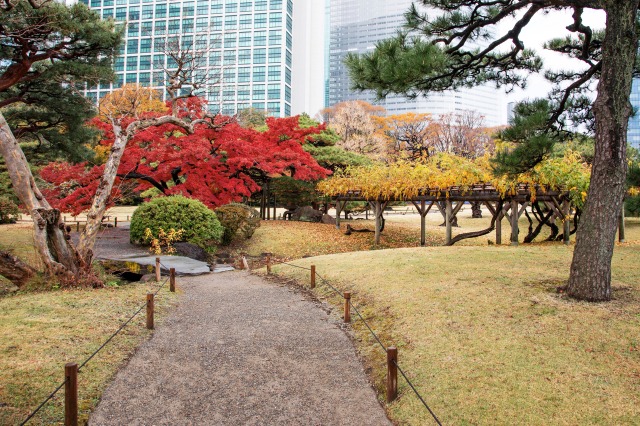 秋の浜離宮恩賜庭園