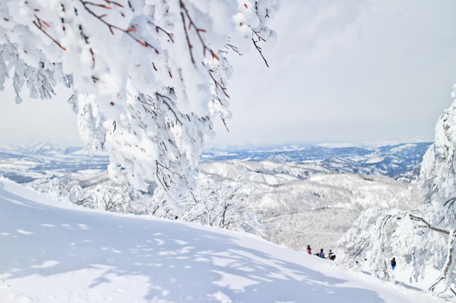 上越国際スキー場の雪景色