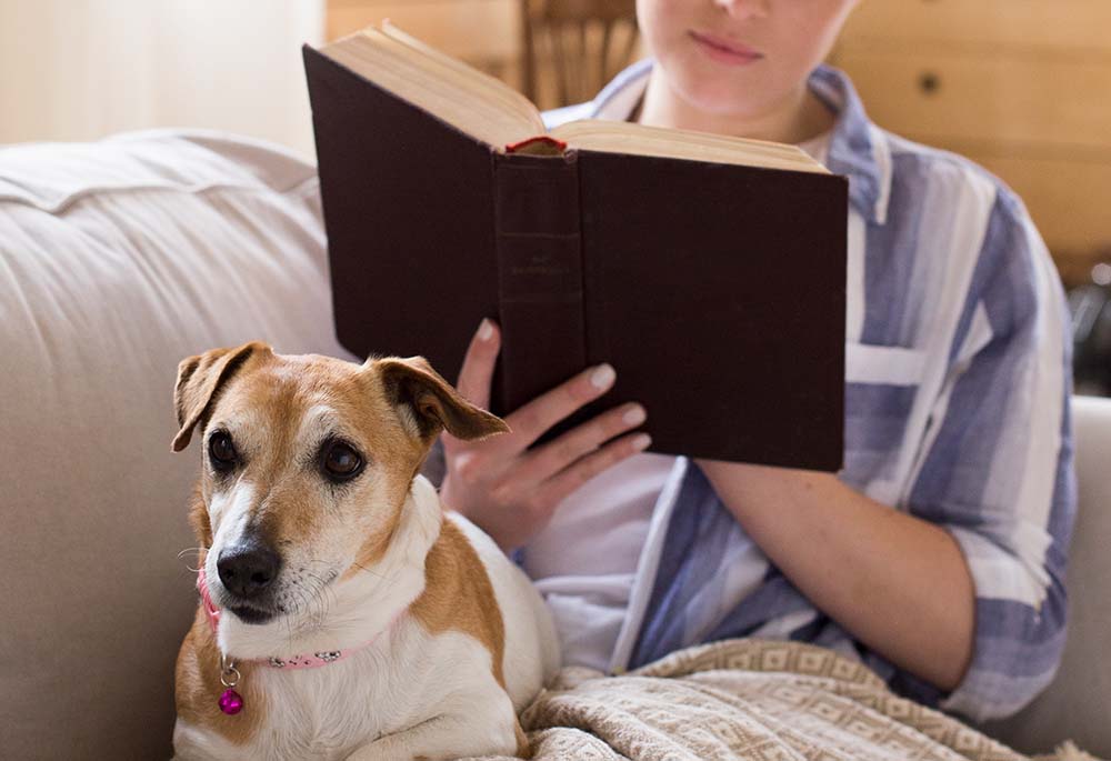 犬と読書