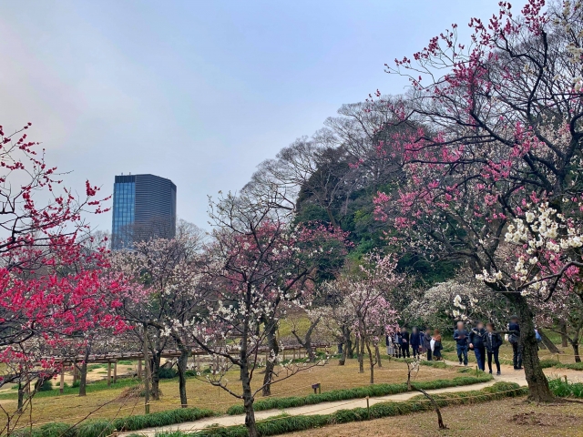 小石川後楽園