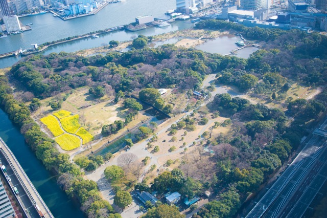 浜離宮恩賜庭園　上空からの写真