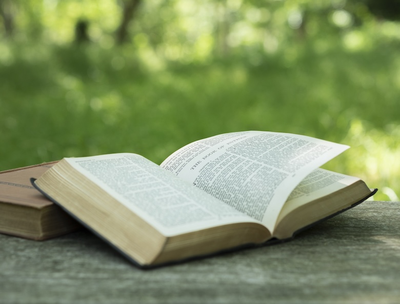 新緑の中で読書　イメージ