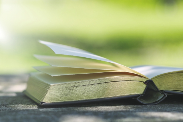 新緑の中で読書 イメージ