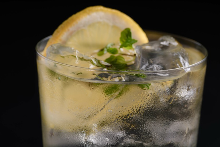 氷の入ったグラスにミントとレモンと炭酸とお酒 アルコール