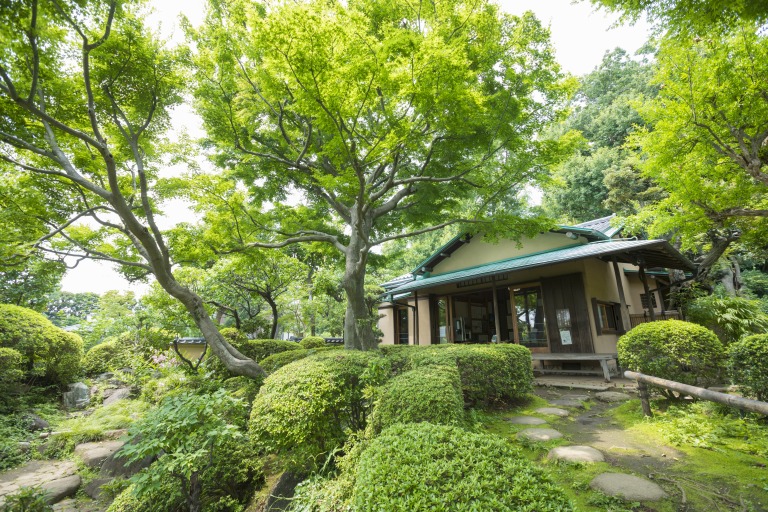 等々力渓谷 日本庭園
