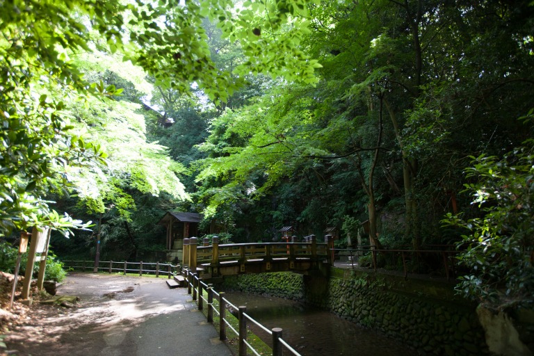 等々力渓谷 遊歩道