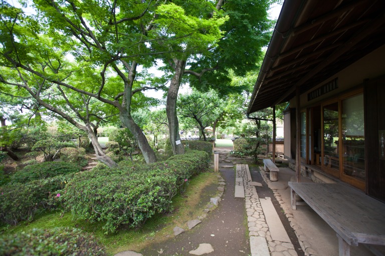 等々力渓谷 日本庭園