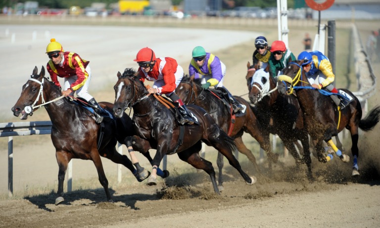 競馬 レース