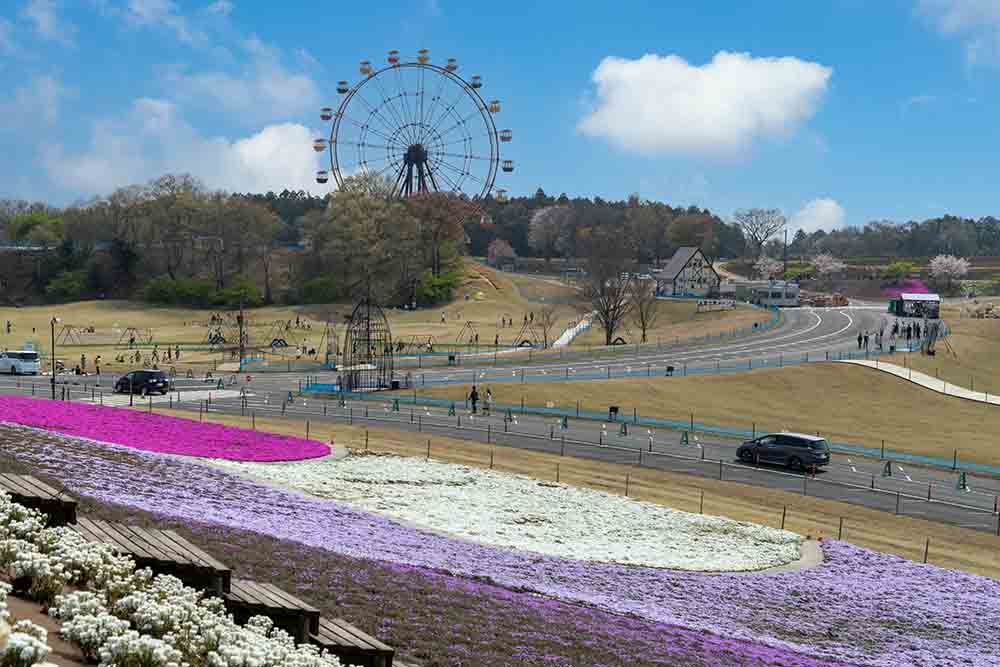 東京ドイツ村