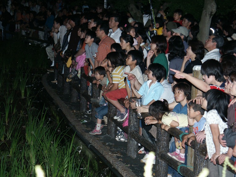 福生ほたる祭