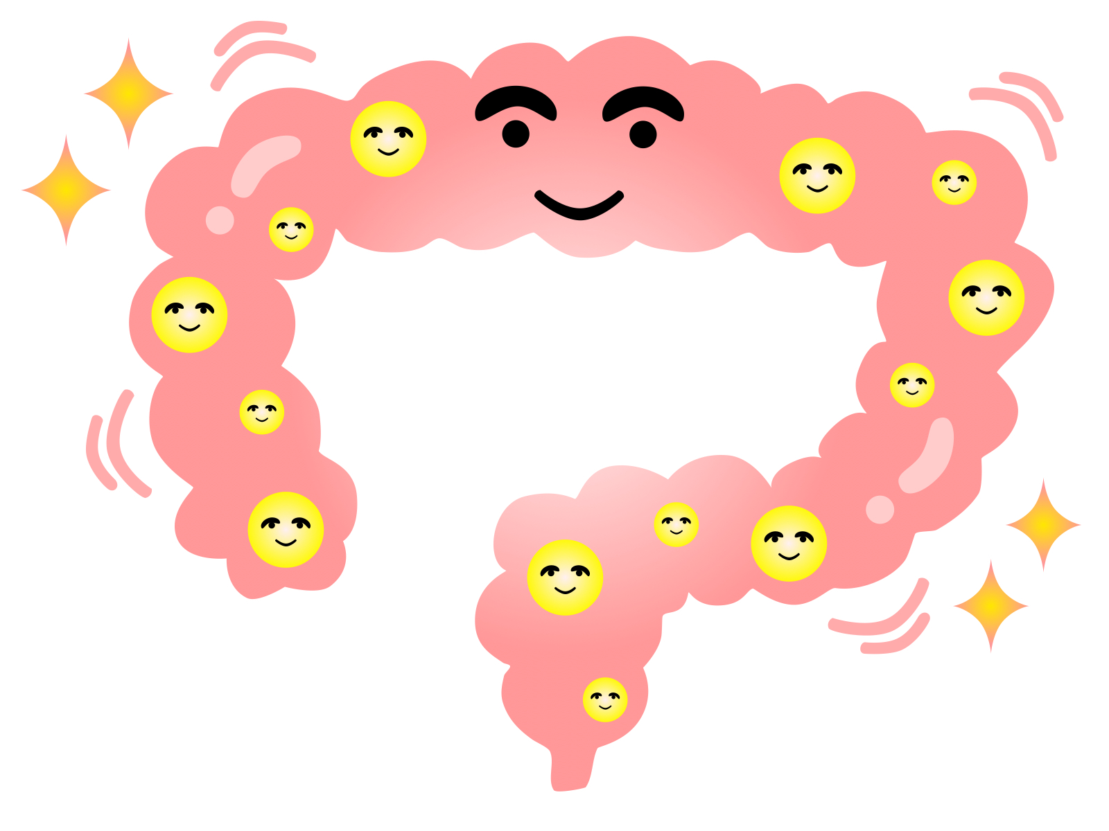活発に働く腸内のイラスト