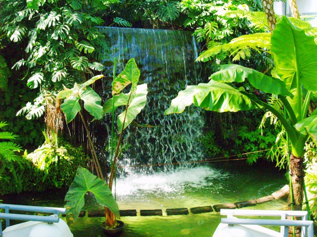 夢の島熱帯植物館の滝