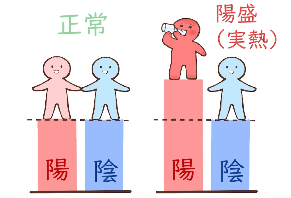 薬膳　陽陰のバランス　図解　イラスト