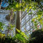 東京で南国体験！夢の島熱帯植物館の楽しみ方完全ガイド｜周辺のおすすめスポットも紹介