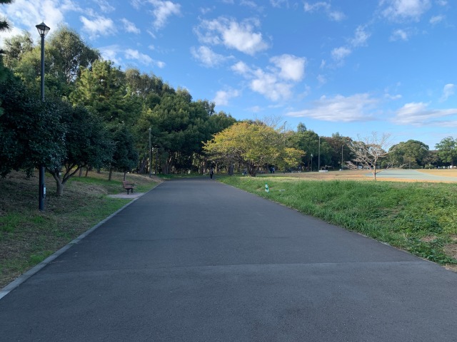 夢の島緑道公園