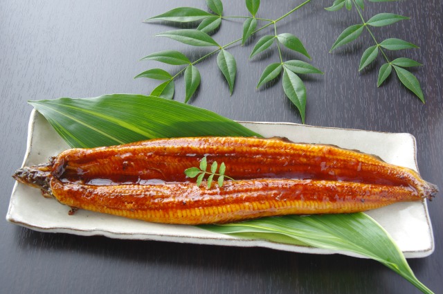 うなぎ一尾　丸焼き　鰻蒲焼き　国産鰻