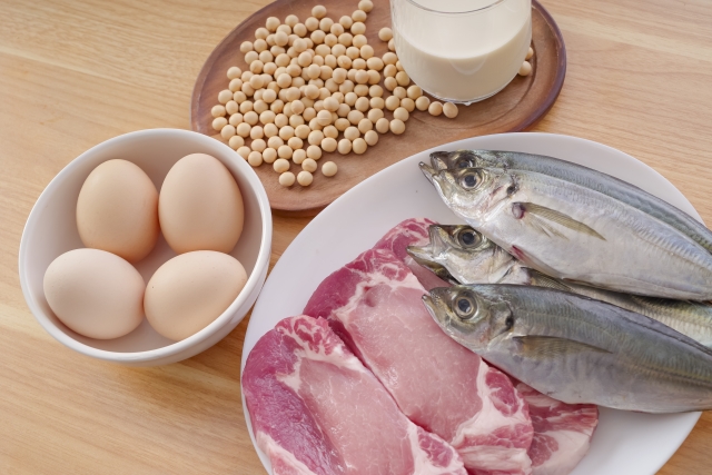 卵、大豆、魚、肉　高タンパク質な食材