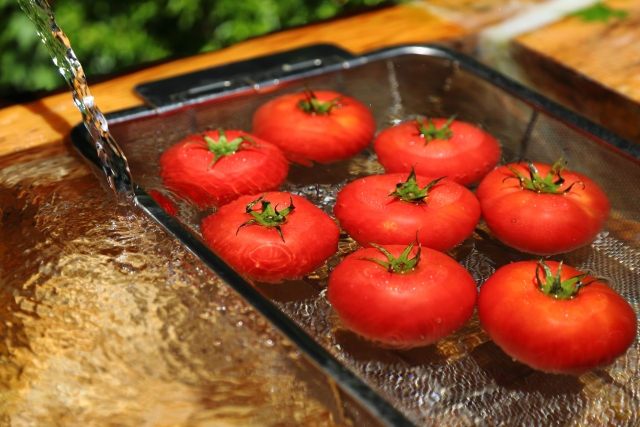 トマトをお湯にさらしている