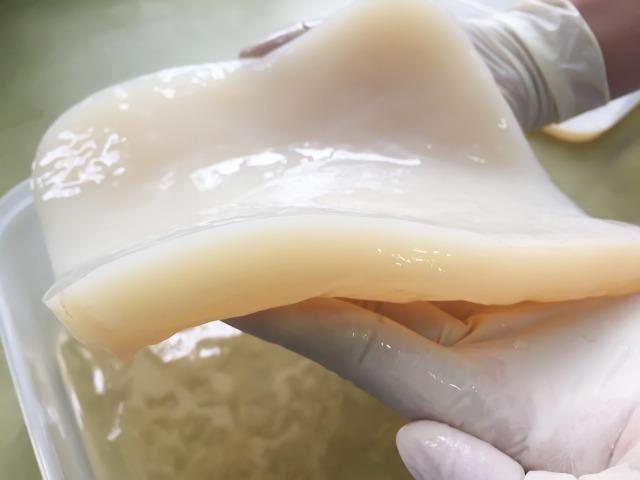 Bacterial cellulose produced by acetic acid bacteria from coconut water  ココナッツウォーターをナタ菌で固めたもの