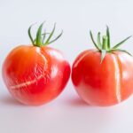 トマトがぶよぶよになる原因は？食べられるかの見分け方や復活方法、保存・活用法まで解説！