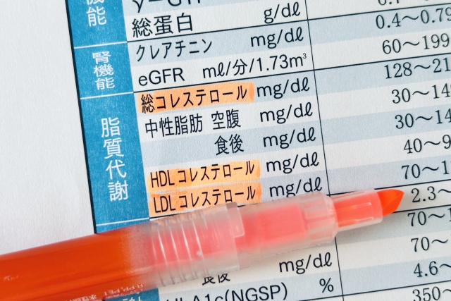 コレステロールの値　健康診断