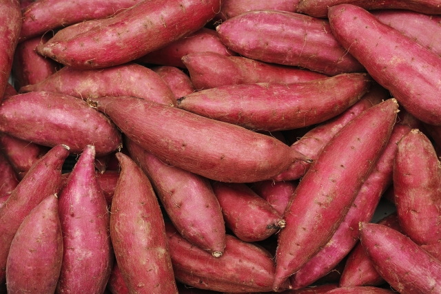 山積みのさつまいも