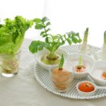 リボベジとは？始め方からおすすめ野菜、メリット・デメリットまで徹底解説